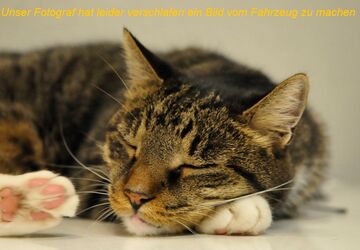 Mazda CX-60 98.138 km 30.900 &euro; Oberhausen 46149