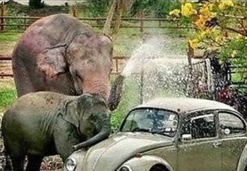 Kia Niro 49.100 km 19.950 &euro; Recklinghausen 45661