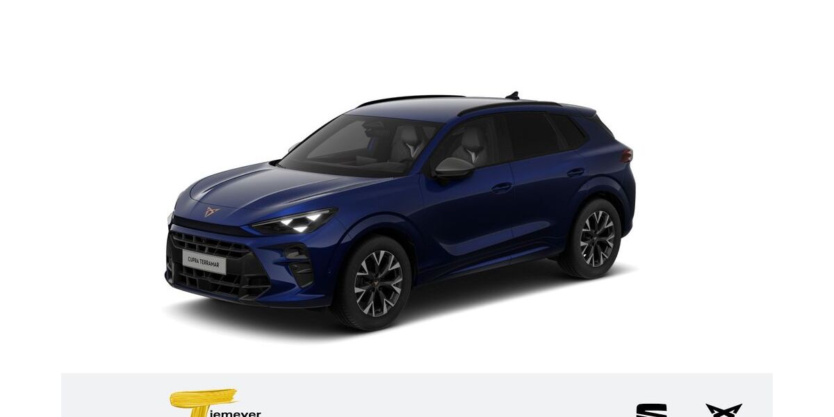 Cupra Terramar 24.338 km 33.780 &euro; Recklinghausen 45663