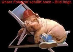 VW Tayron 8.700 km 50.500 &euro; Essen 45134