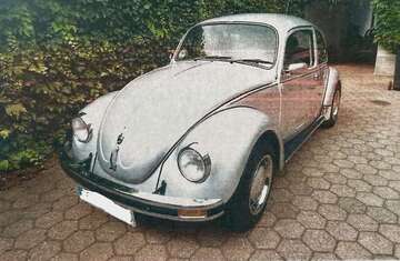 Gebrauchte VW Käfer