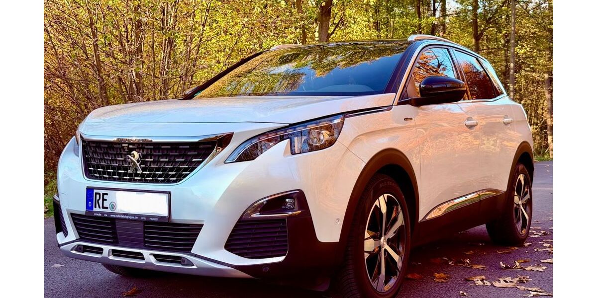 Peugeot 3008 89.100 km 18.700 &euro; Herten 45701